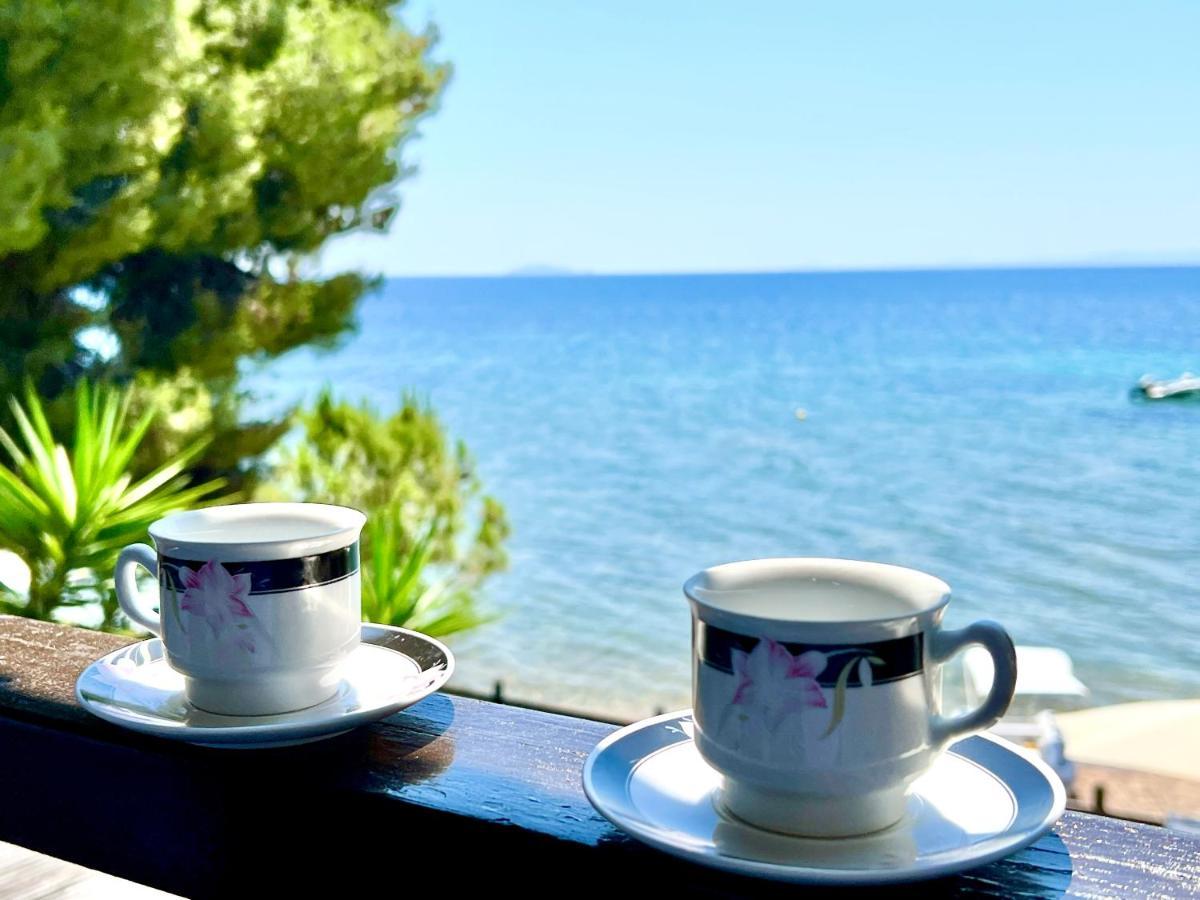 Appartamento The House By The Sea Metamorfosi  Esterno foto