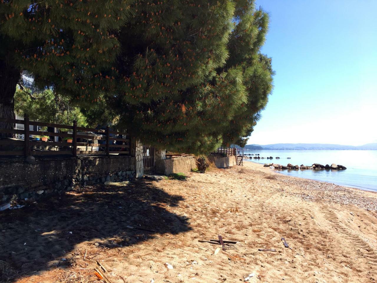 Appartamento The House By The Sea Metamorfosi  Esterno foto
